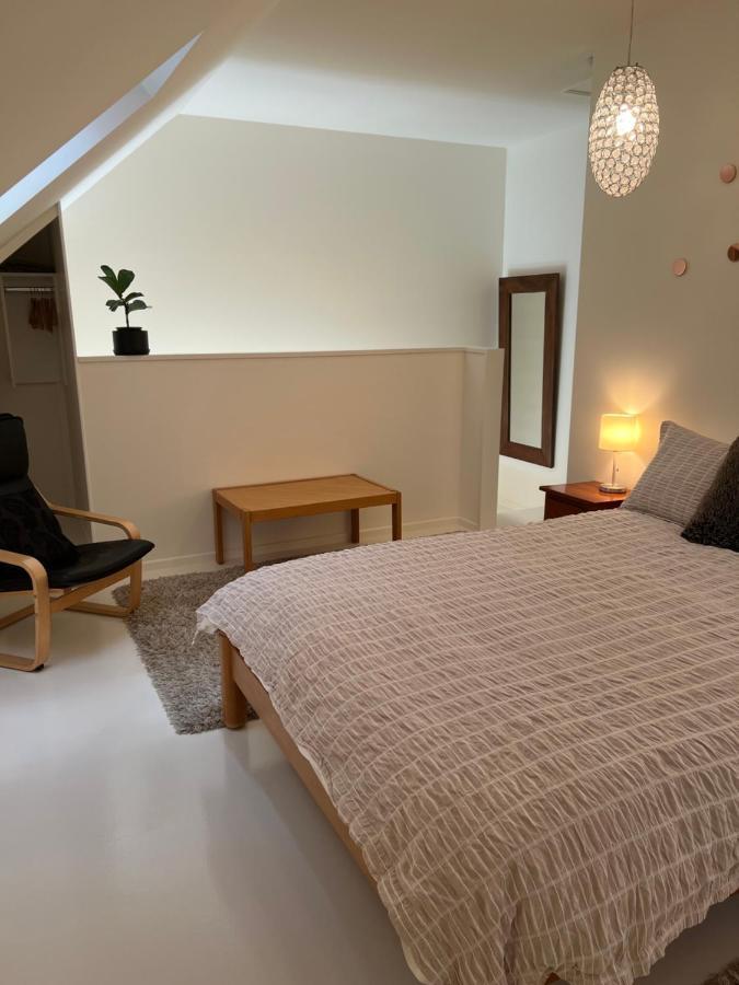 Beech Hill - Pet Friendly Holiday Home Tasman Zewnętrze zdjęcie