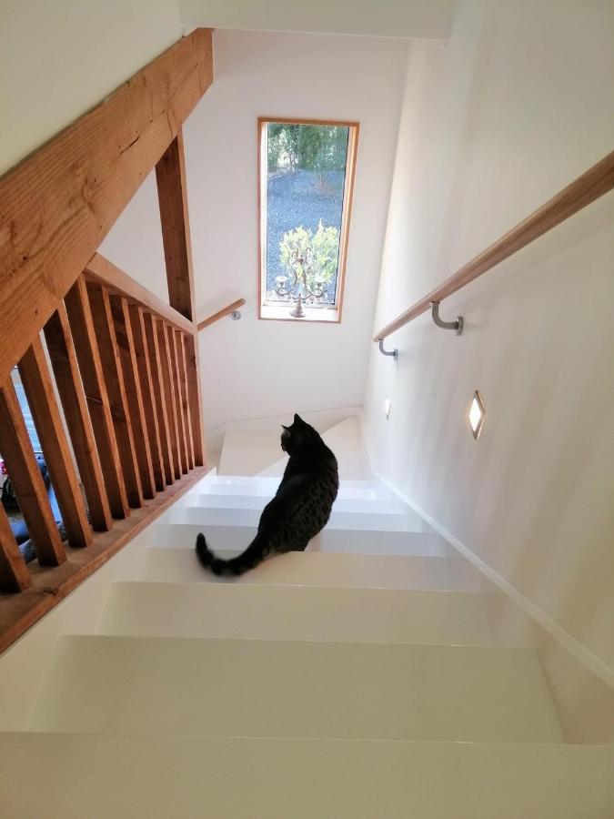 Beech Hill - Pet Friendly Holiday Home Tasman Zewnętrze zdjęcie