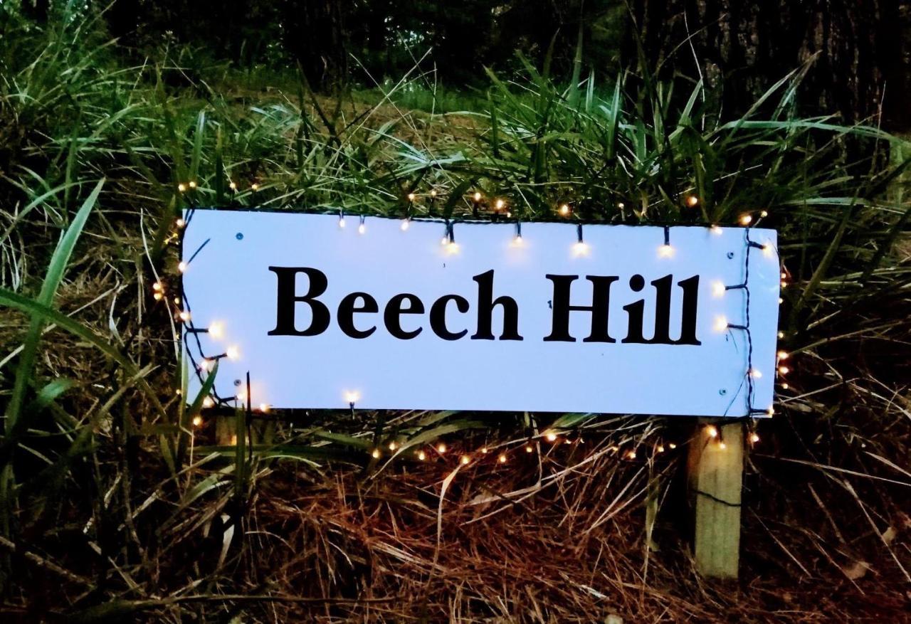 Beech Hill - Pet Friendly Holiday Home Tasman Zewnętrze zdjęcie