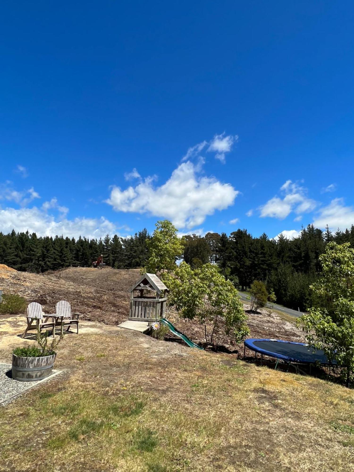 Beech Hill - Pet Friendly Holiday Home Tasman Zewnętrze zdjęcie